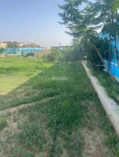 فيلا 3433 متر مربع شمالية شرقية على شارع 10م الياسمين، خميس مشيط