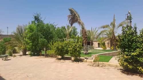 استراحة 5260 متر مربع شرقية على شارع 20م البصر2، البصر