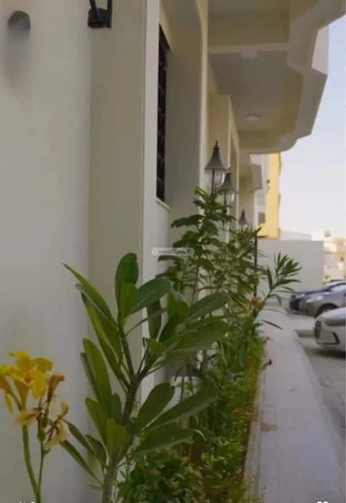 شقة بغرفة العليا، وسط الرياض، الرياض