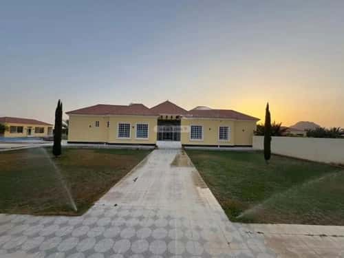 Rest House 11912.5 SQM Facing East on 40m Width Street Alqaeid, Alqaeid