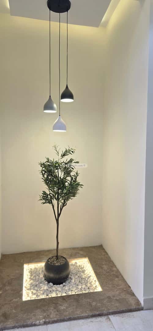 Apartment with 6 Bedrooms Al-Raqi, Khamis Mushait