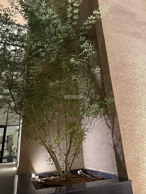 Apartment with 2 bedrooms النهضة، شرق الرياض، الرياض