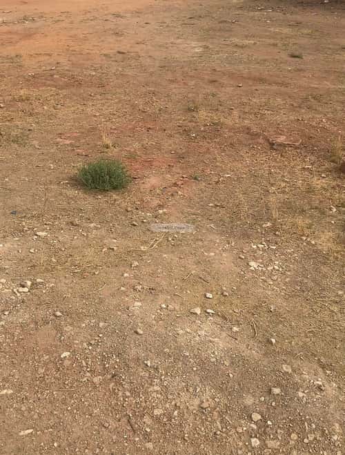 أرض 600 متر مربع النزهة، بريدة