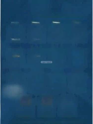 شقة 2 غرف في الصفاء