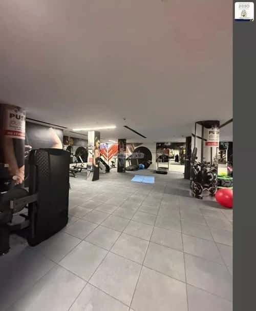 شقة 3 غرف في النرجس