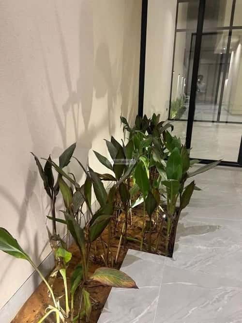 فيلا 5 غرف في النرجس