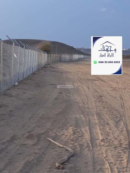Land 64437 SQM Facing North on 20m Width Street Wadi Al-Batah, Madinah