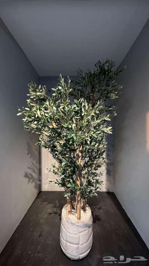 Villa 420 SQM Facing West on 40m Width Street Al Amwaj, Khobar