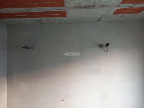 فيلا 6 غرف في الزمرد