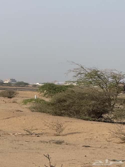 Land 450 SQM Facing East on 25m Width Street Al-Shuwaidi, North Jeddah, Jeddah