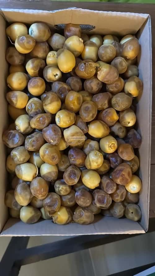 استراحة 450 متر مربع شمالية على شارع 25م الحزم، حريملاء