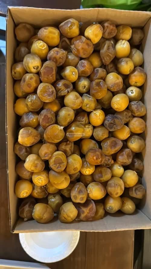 Rest House 450 SQM Facing North on 25m Width Street Al-Hazm District, Harimla'