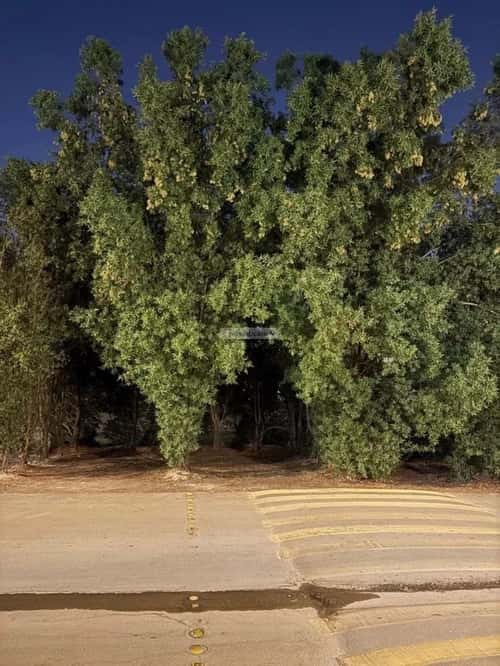 فيلا 250 متر مربع واجهة جنوبية ب 5 غرف الربيع، شمال الرياض، الرياض