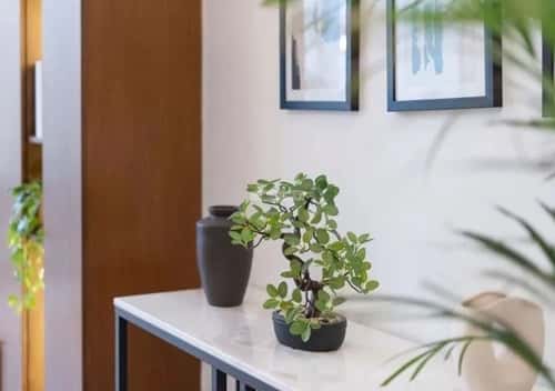 Villa 329 SQM Facing West on 40m Width Street As-Safa, Central Riyadh, Riyadh