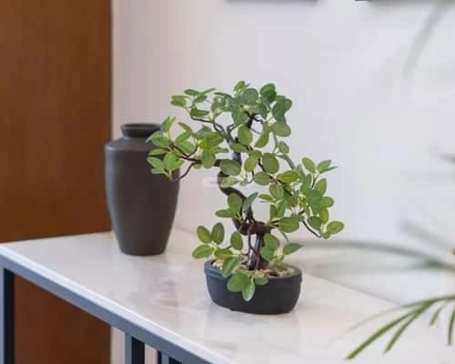 فيلا 329 متر مربع غربية على شارع 40م الصفاء، وسط الرياض، الرياض