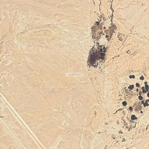 Floor 312 SQM with 7 Bedrooms Al-Janadriyah, East Riyadh, Riyadh