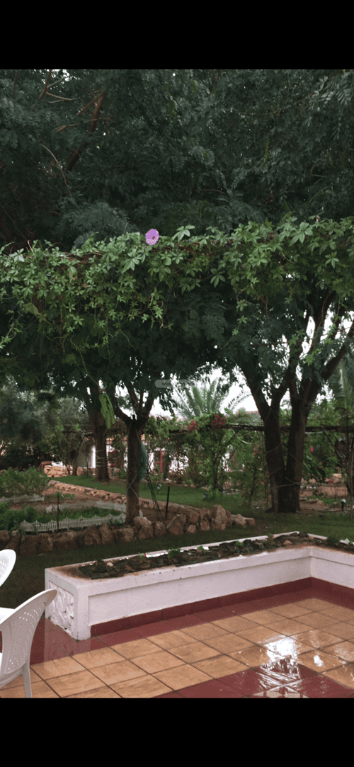 أرض 3000 متر مربع جنوبية على شارع 15م مخطط استراحات العماريه، مخطط استراحات العماريه