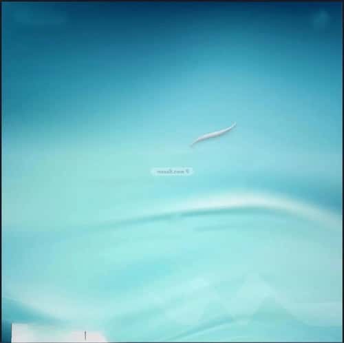 شقة بغرفتين أبحر الجنوبية، شمال جدة، جدة