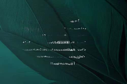 شقة ب 3 غرف الفيحاء، جنوب جدة، جدة