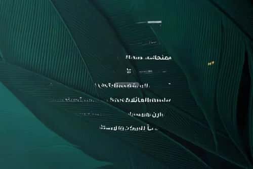 شقة ب 3 غرف الفيحاء، جنوب جدة، جدة