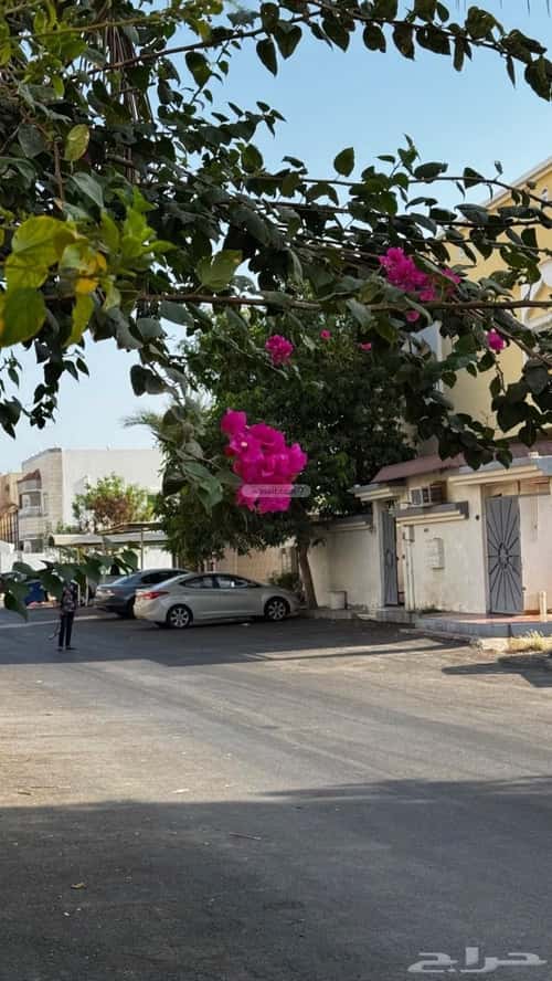 شقة بغرفتين النهضة، شمال جدة، جدة