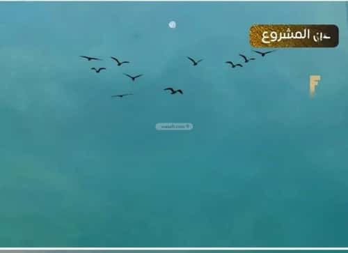 Apartment with 4 Bedrooms Al Nuzha, North Jeddah, Jeddah