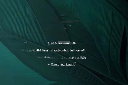 شقة 1666 متر مربع ب 3 غرف الفيحاء، جنوب جدة، جدة