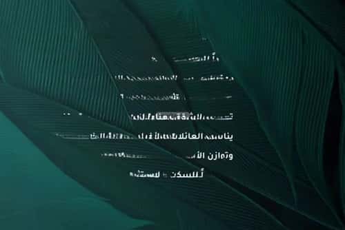 شقة 1666 متر مربع ب 3 غرف الفيحاء، جنوب جدة، جدة