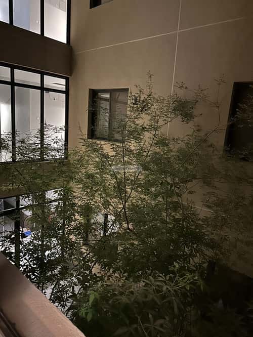 شقة 86 متر مربع ب 4 غرف العارض، شمال الرياض، الرياض