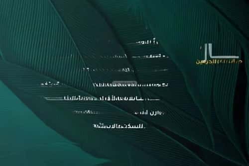 شقة 1666 متر مربع ب 3 غرف الفيحاء، جنوب جدة، جدة