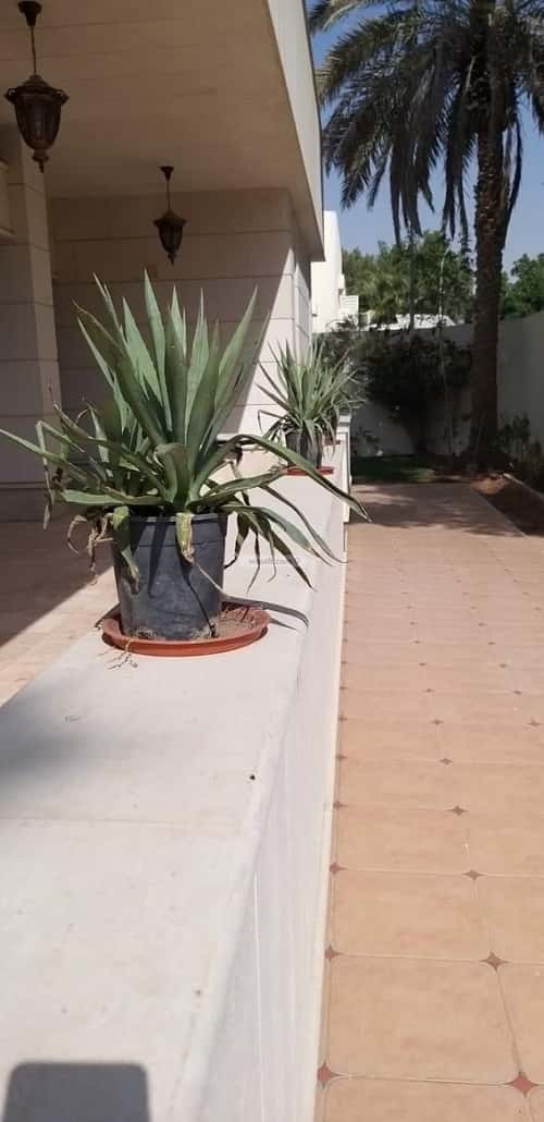 فيلا 640 متر مربع ب 8 غرف السليمانية، وسط الرياض، الرياض