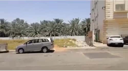 أرض 601 متر مربع غربية على شارع 14م الجمعة، المدينة المنورة
