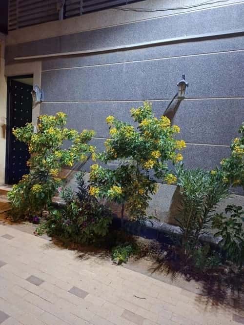 Apartment 500 SQM with 2 Bedrooms Al-Falah, North Riyadh, Riyadh