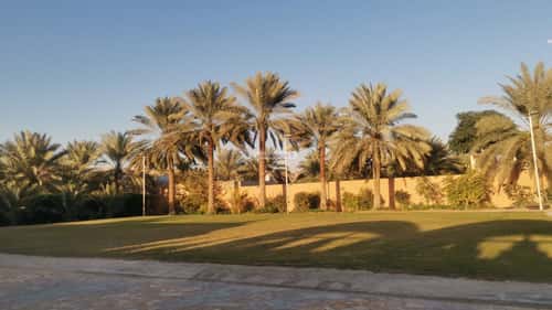 استراحة 5000 متر مربع غربية على شارع 15م وادي لبن - طويق، غرب الرياض، الرياض
