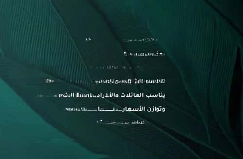 شقة 1666.35 متر مربع بغرفتين الفيحاء، جنوب جدة، جدة