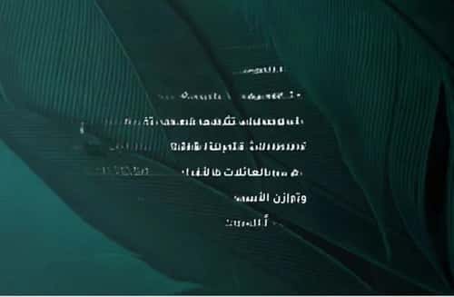 شقة 1666.35 متر مربع ب 4 غرف الفيحاء، جنوب جدة، جدة