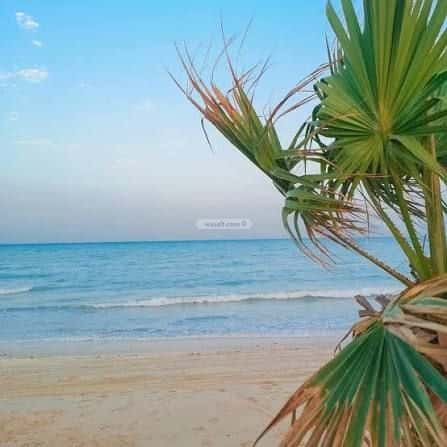 أرض 460 متر مربع جنوبية على شارع 20م الأندلس، رأس تنورة