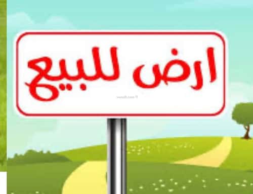 Land 490 SQM Facing East on 32m Width Street Umm Al-Hamam, Alttayif