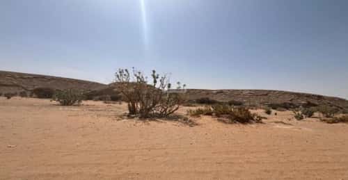 Land 48000 SQM Al-Haier, South Riyadh, Riyadh