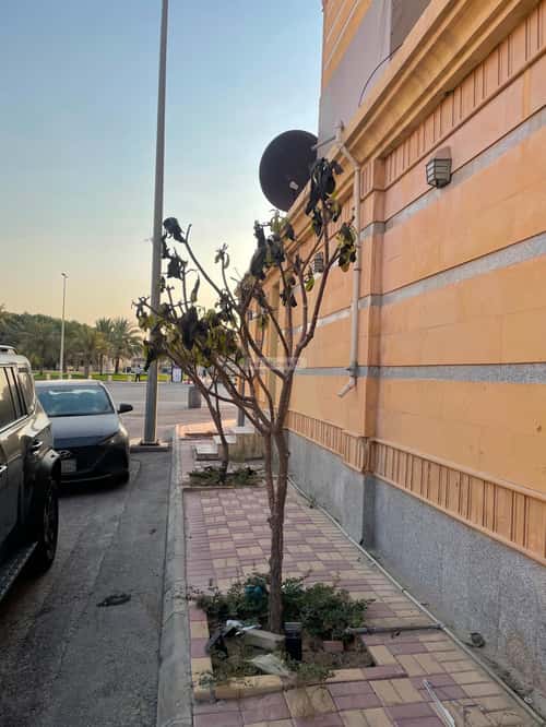 Apartment 187.91 SQM with 6 Bedrooms Al Manar, Aldammam