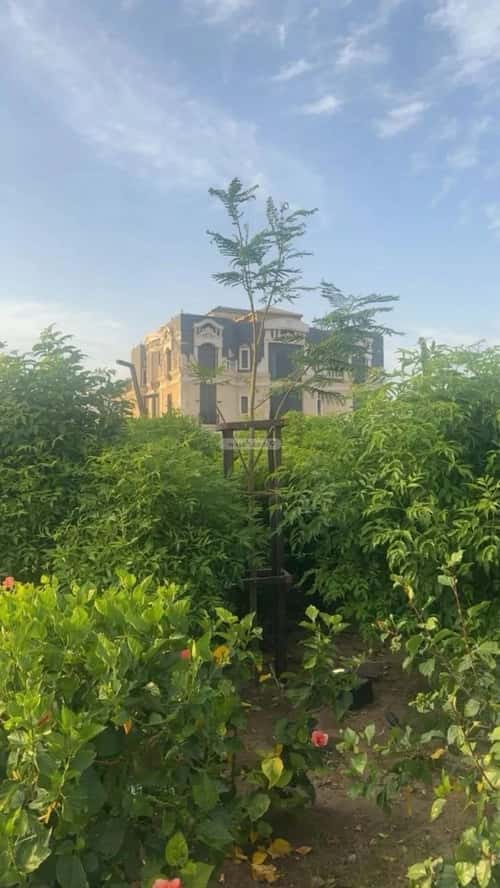 Villa 660 SQM Facing North on 20m Width Street Al Marjan, North Jeddah, Jeddah