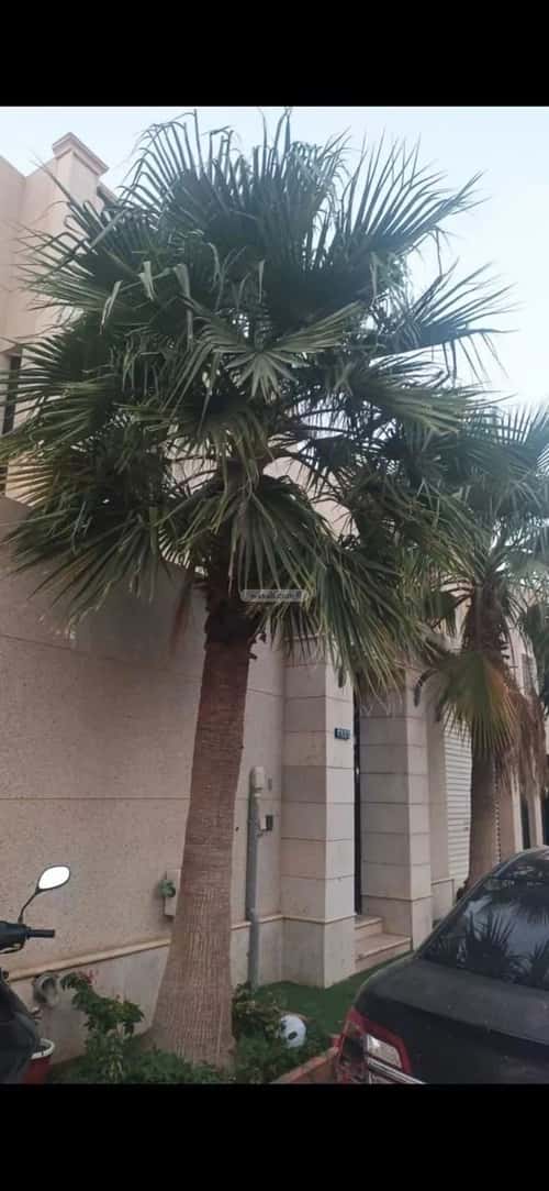 Villa 325.65 SQM Facing South on 15m Width Street Al-Arid, North Riyadh, Riyadh