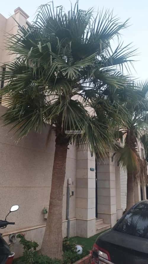 Villa 800 SQM Facing South on 15m Width Street Al-Arid, North Riyadh, Riyadh