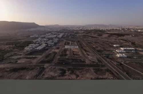 أرض 350 متر مربع الجصة، المدينة المنورة