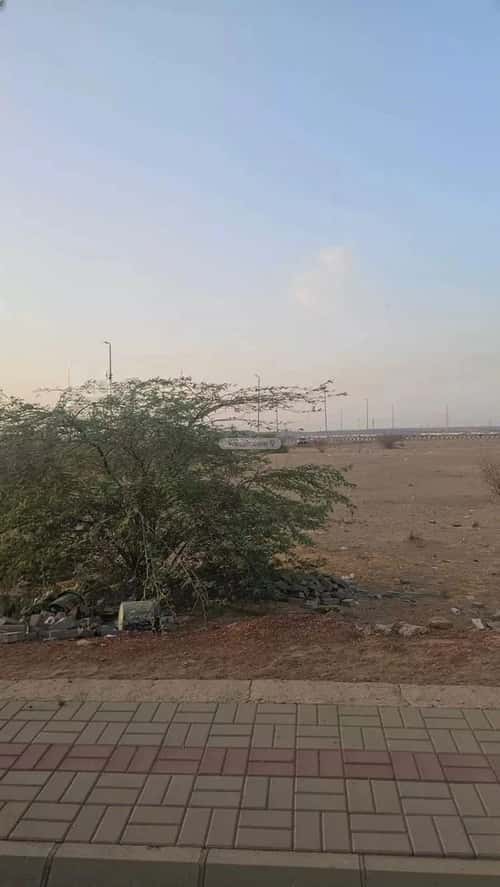 أرض 849.55 متر مربع الزهور، خليص