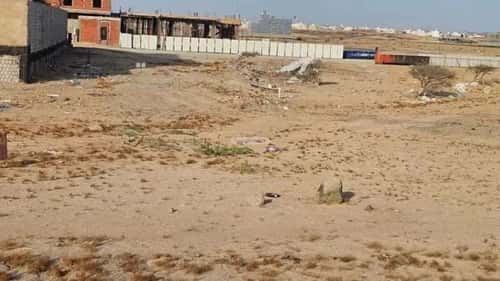 أرض 600 متر مربع غربية على شارع 32م الصفوة، شمال جدة، جدة