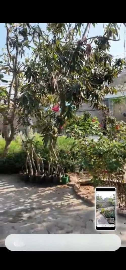 Villa 506.8 SQM Facing South East on 15m Width Street Gourana, Makkah Al Mukarramah