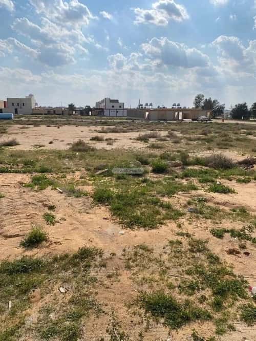 Land 420 SQM Facing North on 15m Width Street Al-Musayyif, Bariduh