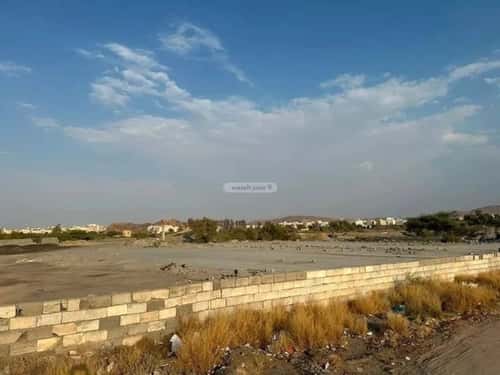 أرض 6940.37 متر مربع جنوبية على شارع 29م القيم الأعلى، الطائف