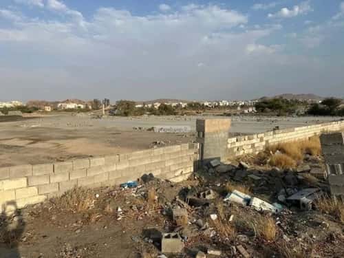 أرض 6940.37 متر مربع جنوبية على شارع 29م القيم الأعلى، الطائف